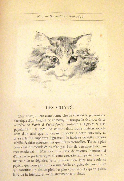 Paris à l'eau-forte. Journal hebdomadaire d’Actualité, de Curiosité et de …