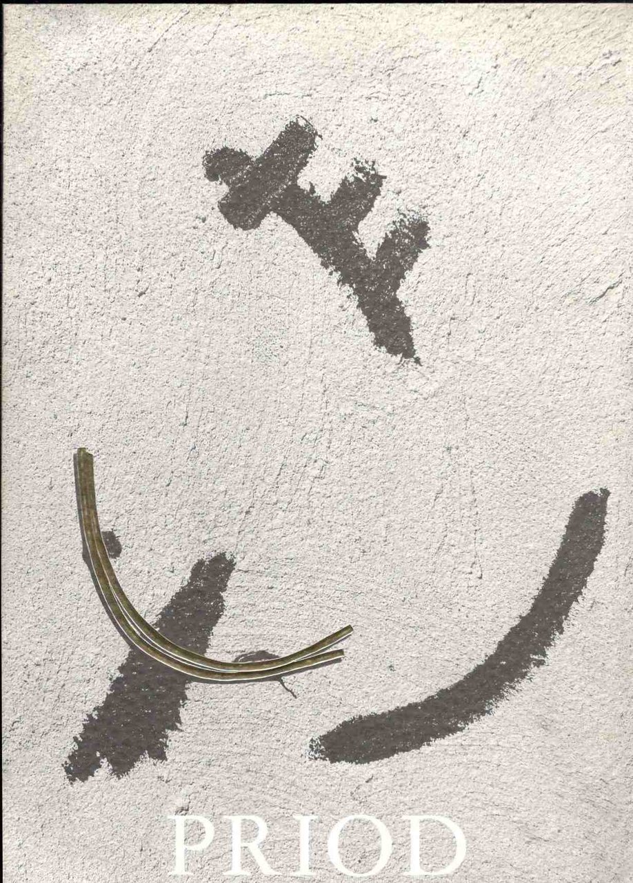 Roberto Priod. Oltre. A cura di Andrea B. Del Guercio