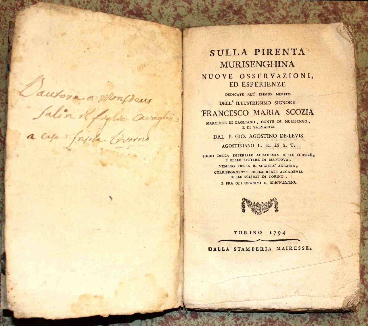 Sulla Pirenta Murisenghina nuove osservazioni ed esperienze
