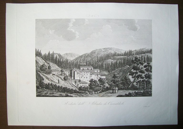 VEDUTA DELL'ABBADIA DI CAMALDOLI | Immagine Gallery 2