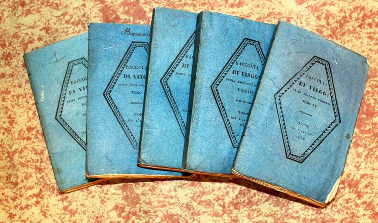 Viaggi nell'America Meridionale. Tradotti dal prof. Gaetano Barbieri