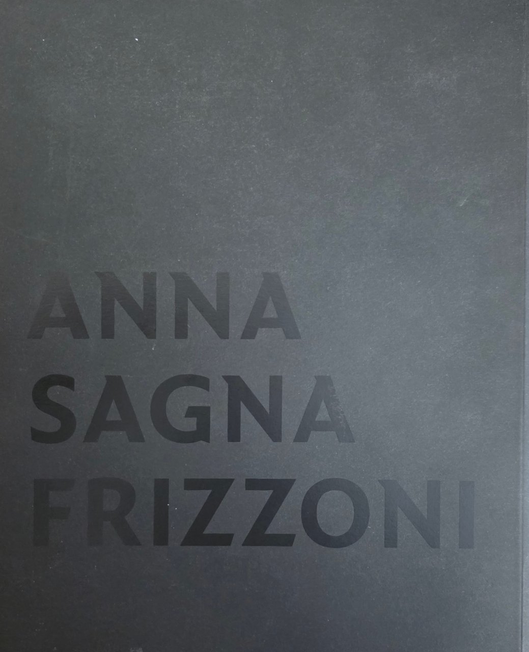 ANNA SAGNA FRIZZONI | Immagine principale