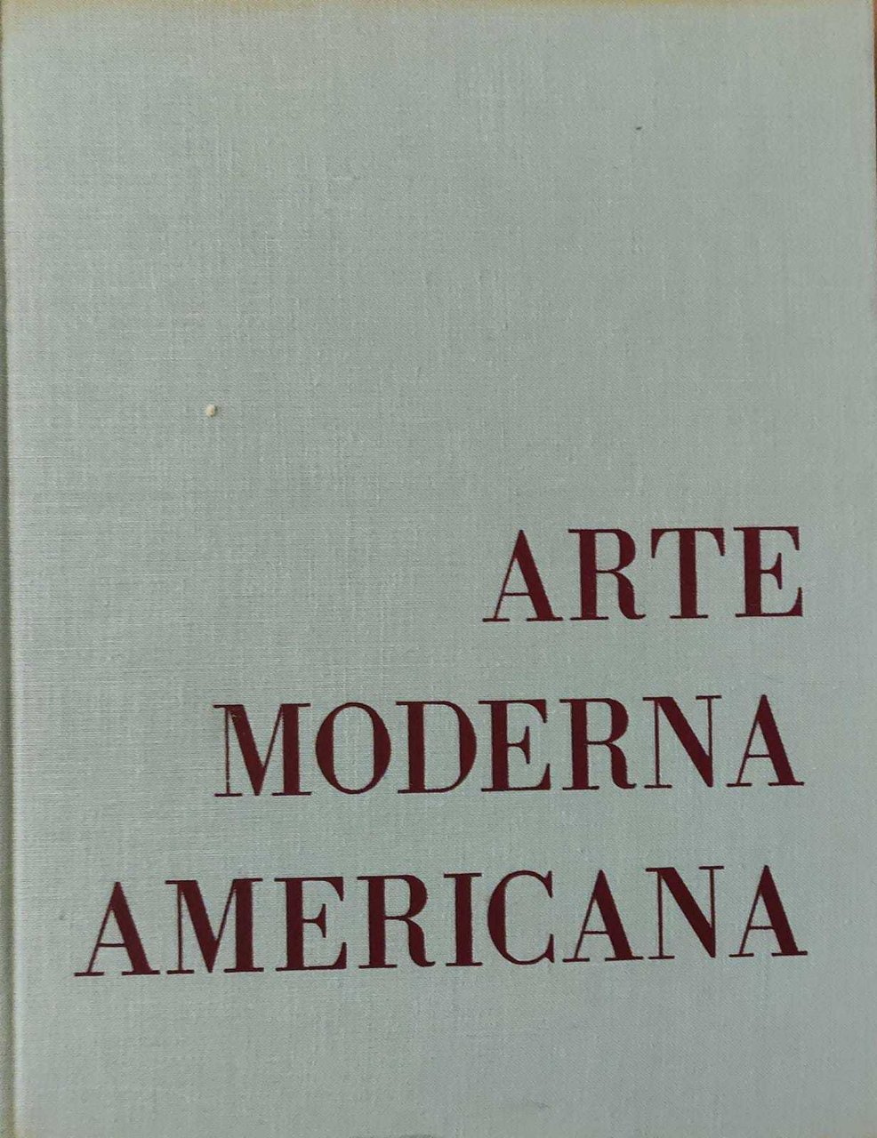 ARTE MODERNA AMERICANA. 50 PITTORI DEL XX SECOLO | Immagine principale