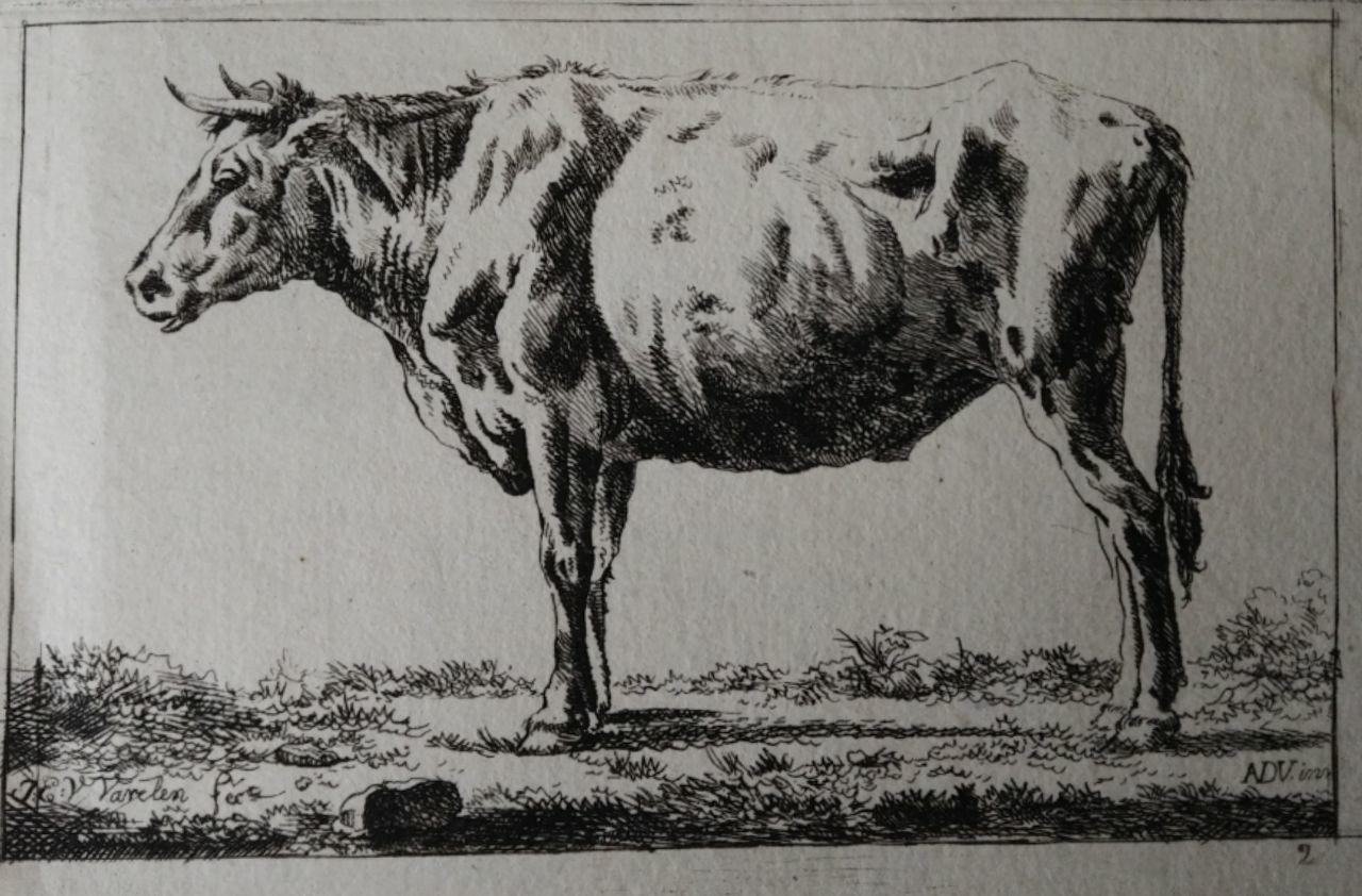 BUE | Immagine principale