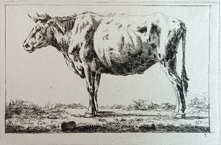 BUE | Immagine Gallery 2