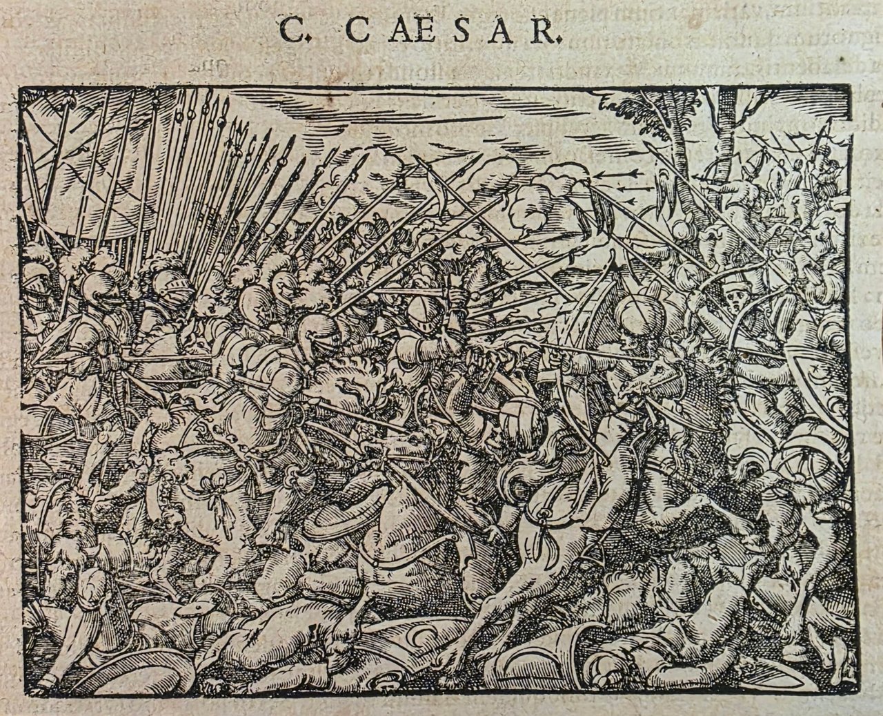 C. CAESAR | Immagine principale