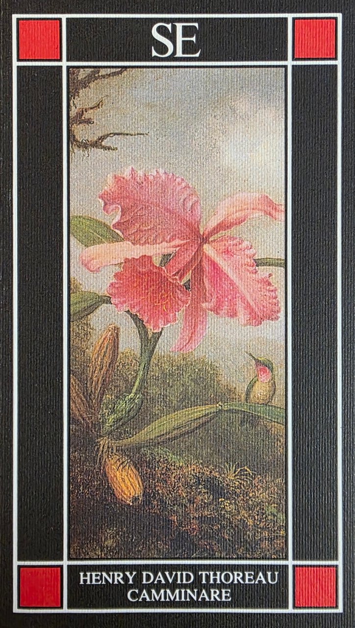 CAMMINARE | Immagine principale