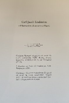 CARL JACOB LINDSTROM E L'ILLUSTRAZIONE DI COSTUME A NAPOLI