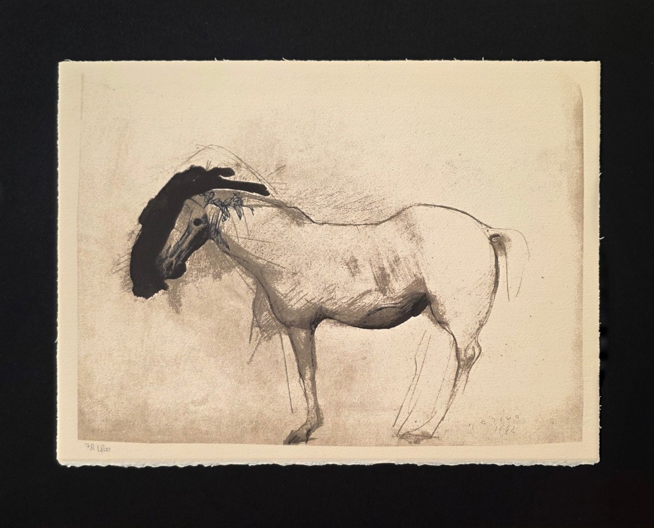 CAVALLO