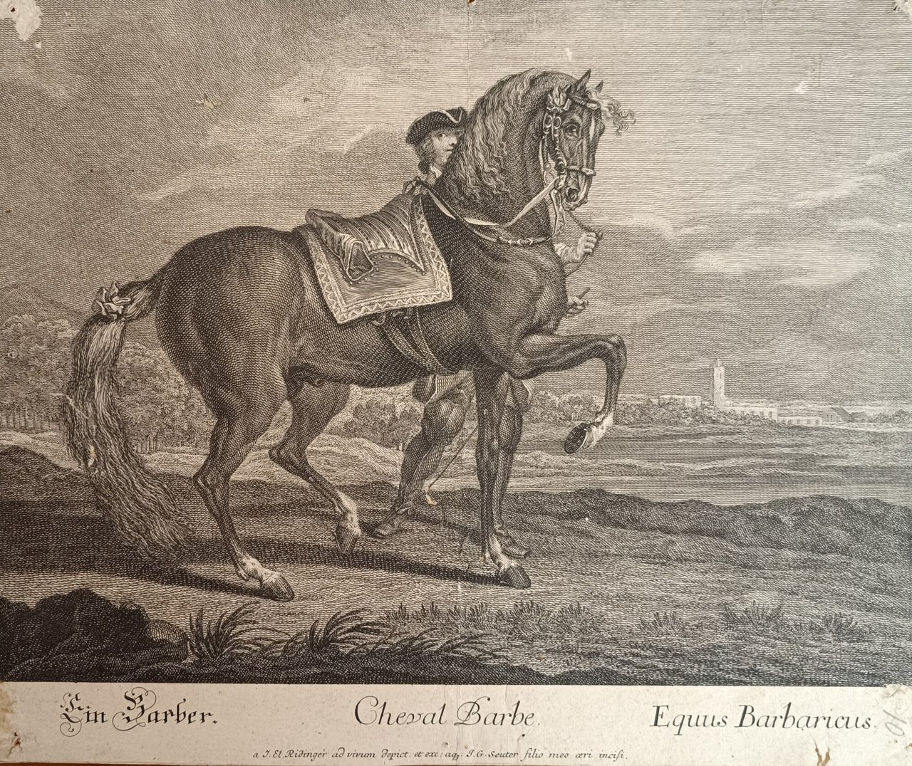 CHEVAL BARBE | Immagine principale