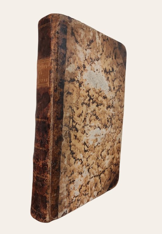 CODICE DI COMMERCIO DI TERRA E DI MARE PEL REGNO …