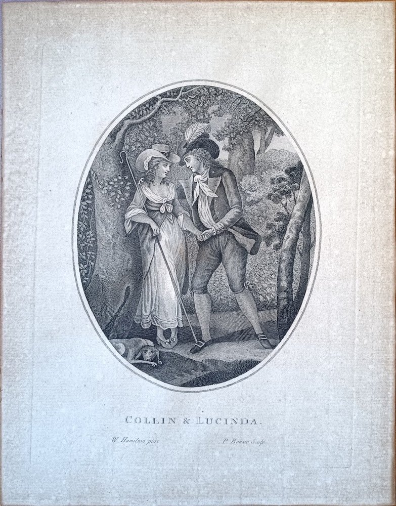 COLLIN &amp; LUCINDA