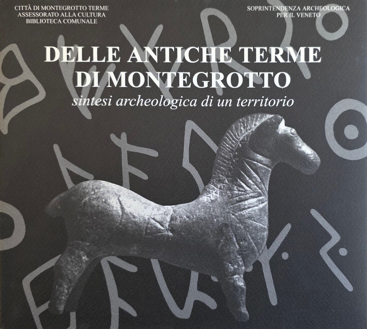 DELLE ANTICHE TERME DI MONTEGROTTO. SINTESI ARCHEOLOGICA DI UN TERRITORIO