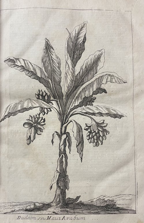 DICTIONARIUM HISTORICUM, CRITICUM, CHRONOLOGICUM, GEOGRAPHICUM, ET LITERALE SACRAE SCRIPTURAE, CUM …