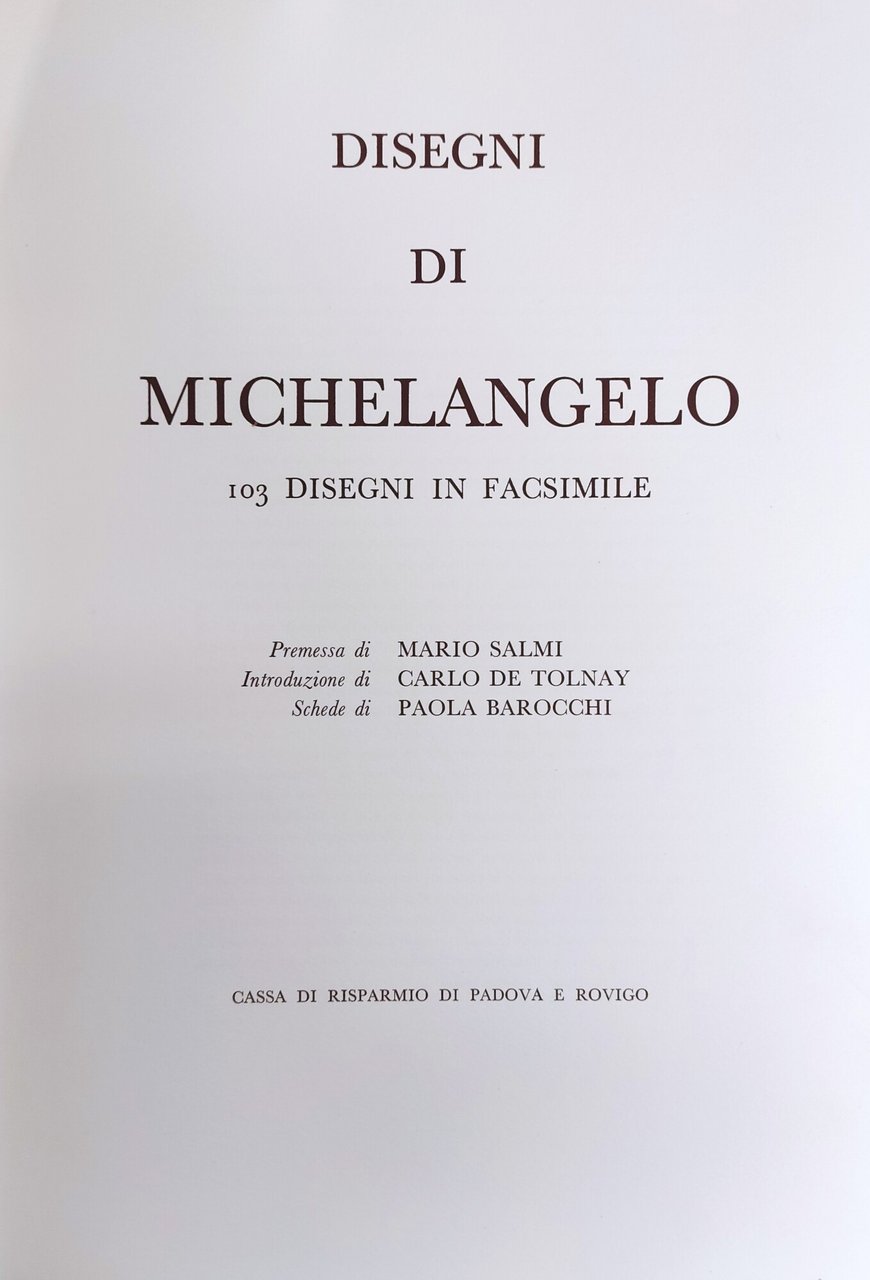 DISEGNI DI MICHELANGELO