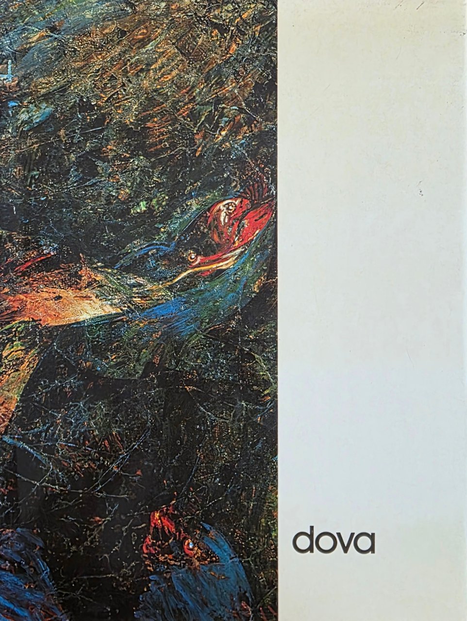 DOVA GIANNI | Immagine principale