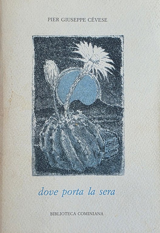 DOVE PORTA LA SERA | Immagine Gallery 2