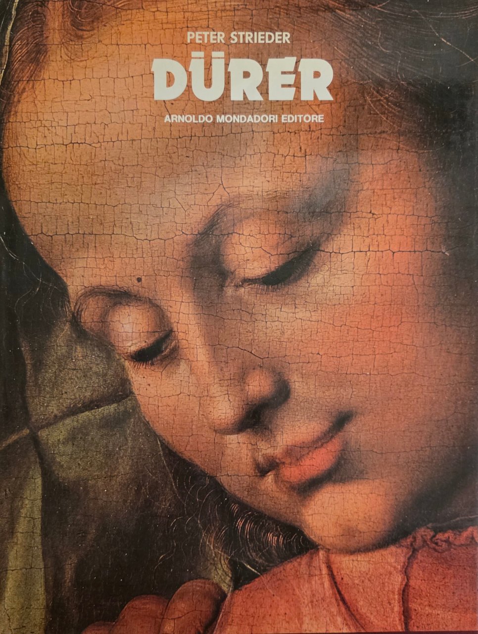 DÜRER | Immagine principale