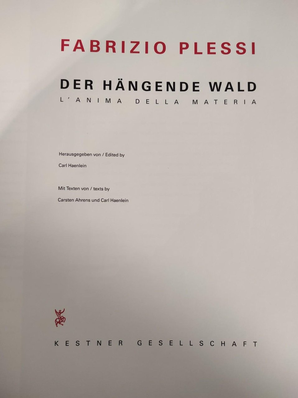 FABRIZIO PLESSI. L'ANIMA DELLA MATERIA