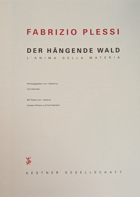 FABRIZIO PLESSI. L'ANIMA DELLA MATERIA