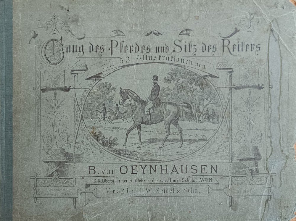 GANG DES PFERDES UND SITZ DES REITERS ALS FORTSETZUNG DES: …