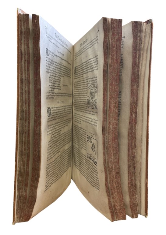 HIEROGLYPHICA, SEU DE SACRIS AEGYPTIORUM, ALIARUMQUE GENTIUM LITERIS COMMENTARII