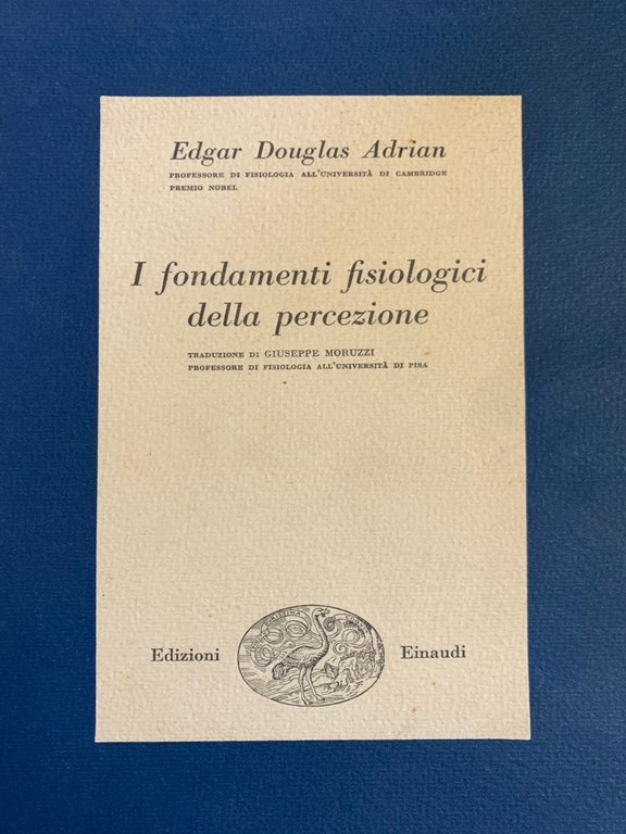 I FONDAMENTI FISIOLOGICI DELLA PERCEZIONE | Immagine Gallery 3