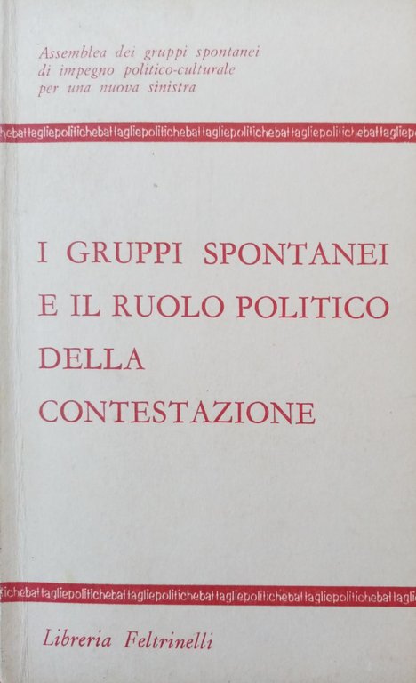 I GRUPPI SPONTANEI E IL RUOLO POLITICO DELLA CONTESTAZIONE