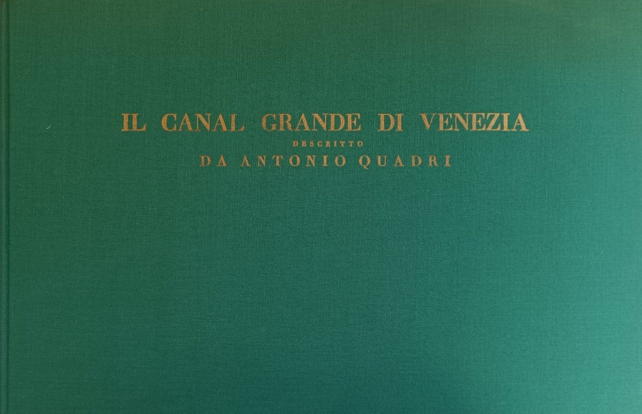IL CANAL GRANDE DI VENEZIA