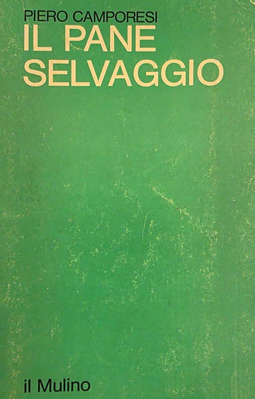 IL PANE SELVAGGIO | Immagine principale