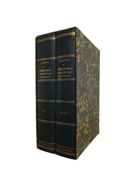 IL TERRITORIO PADOVANO ILLUSTRATO