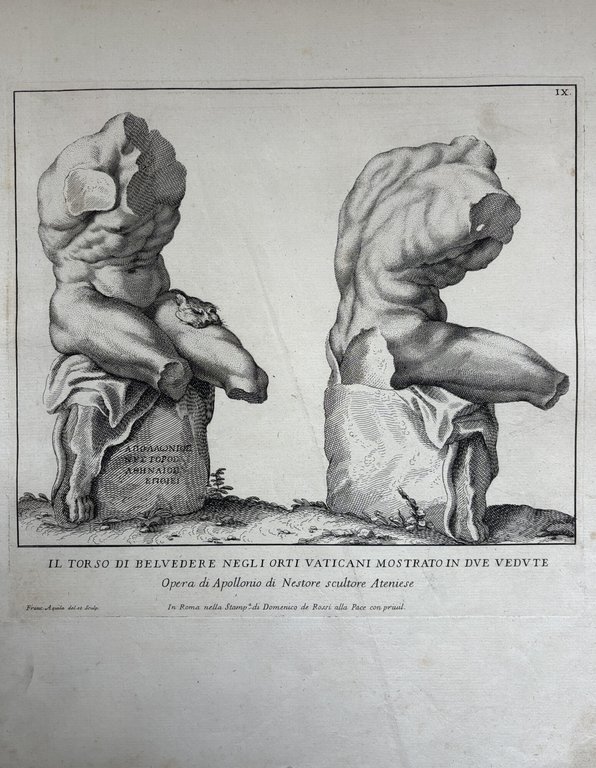 IL TORSO DI BELVEDERE NEGLI ORTI VATICANI