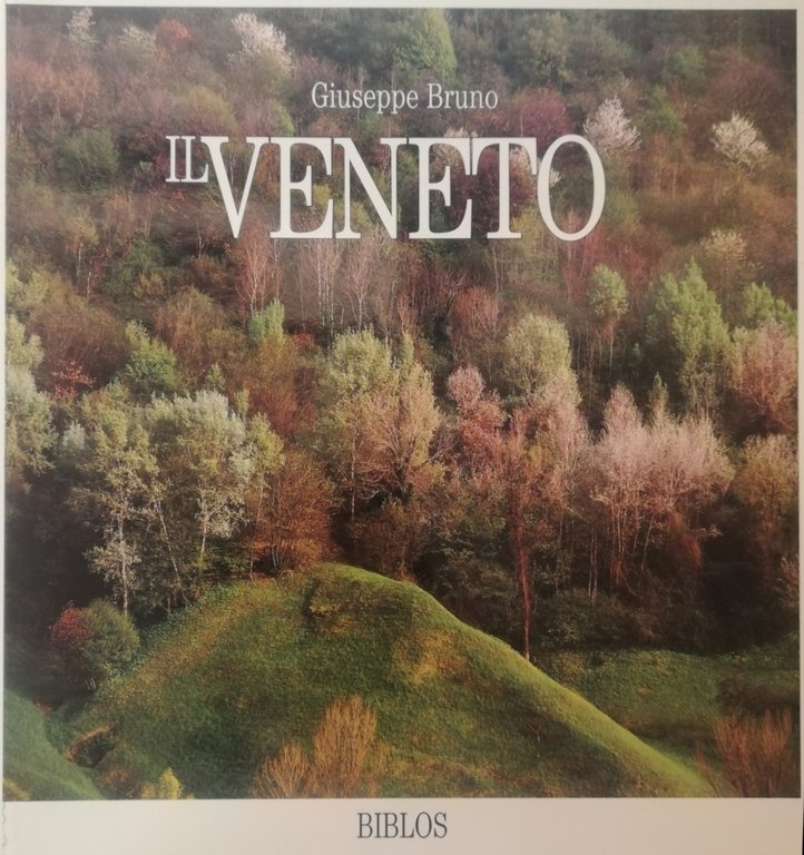 IL VENETO | Immagine Gallery 2
