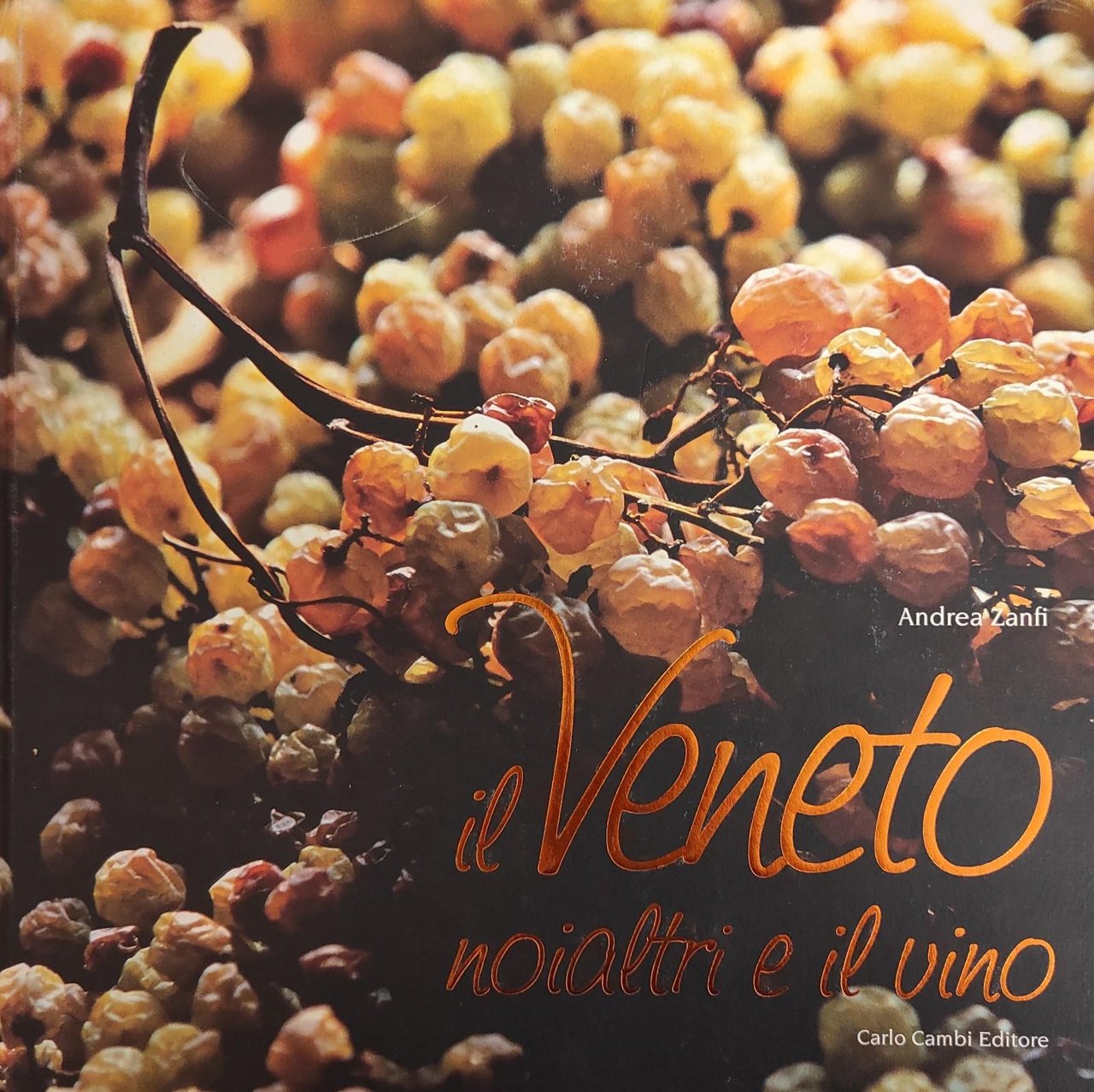 IL VENETO, NOIALTRI E IL VINO