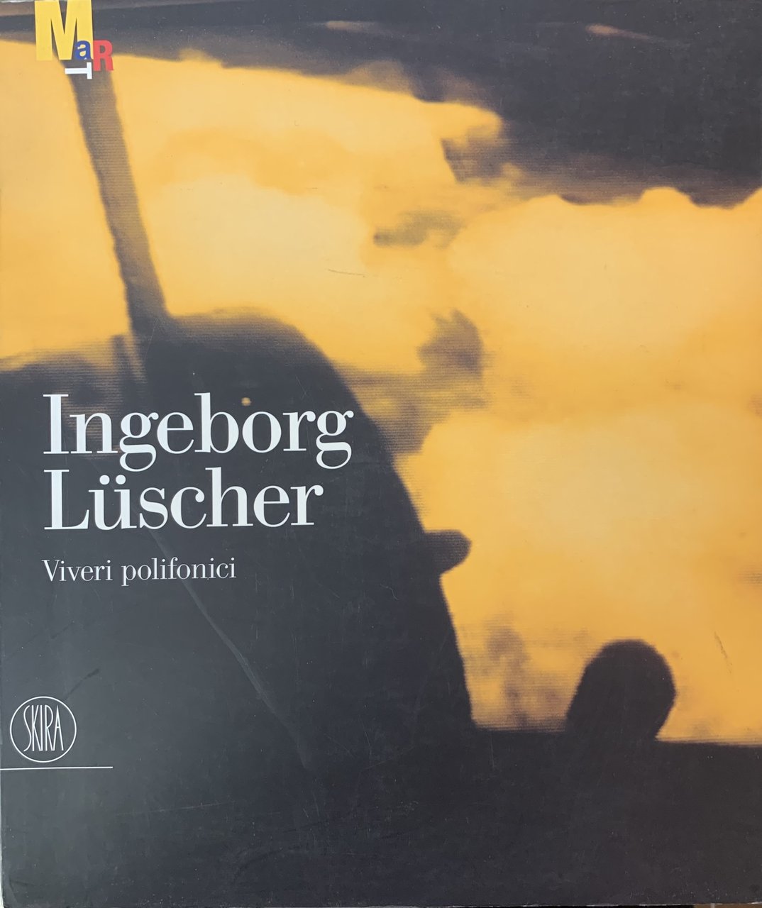 INGEBORG LUSCHER. VIVERI POLIFONICI | Immagine principale