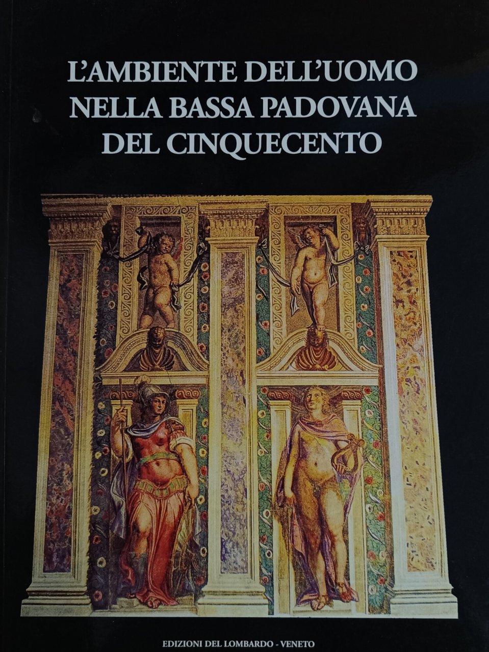 L'AMBIENTE DELL'UOMO NELLA BASSA PADOVANA DEL CINQUECENTO