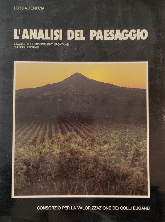 L' ANALISI DEL PAESAGGIO. INDAGINE SUGLI INSEDIAMENTI SPONTANEI | Immagine Gallery 2