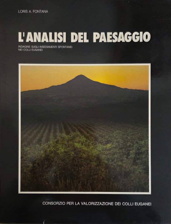 L' ANALISI DEL PAESAGGIO. INDAGINE SUGLI INSEDIAMENTI SPONTANEI | Immagine Gallery 3