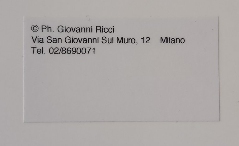 "L'ARTE BRUCIA" | Immagine Gallery 4