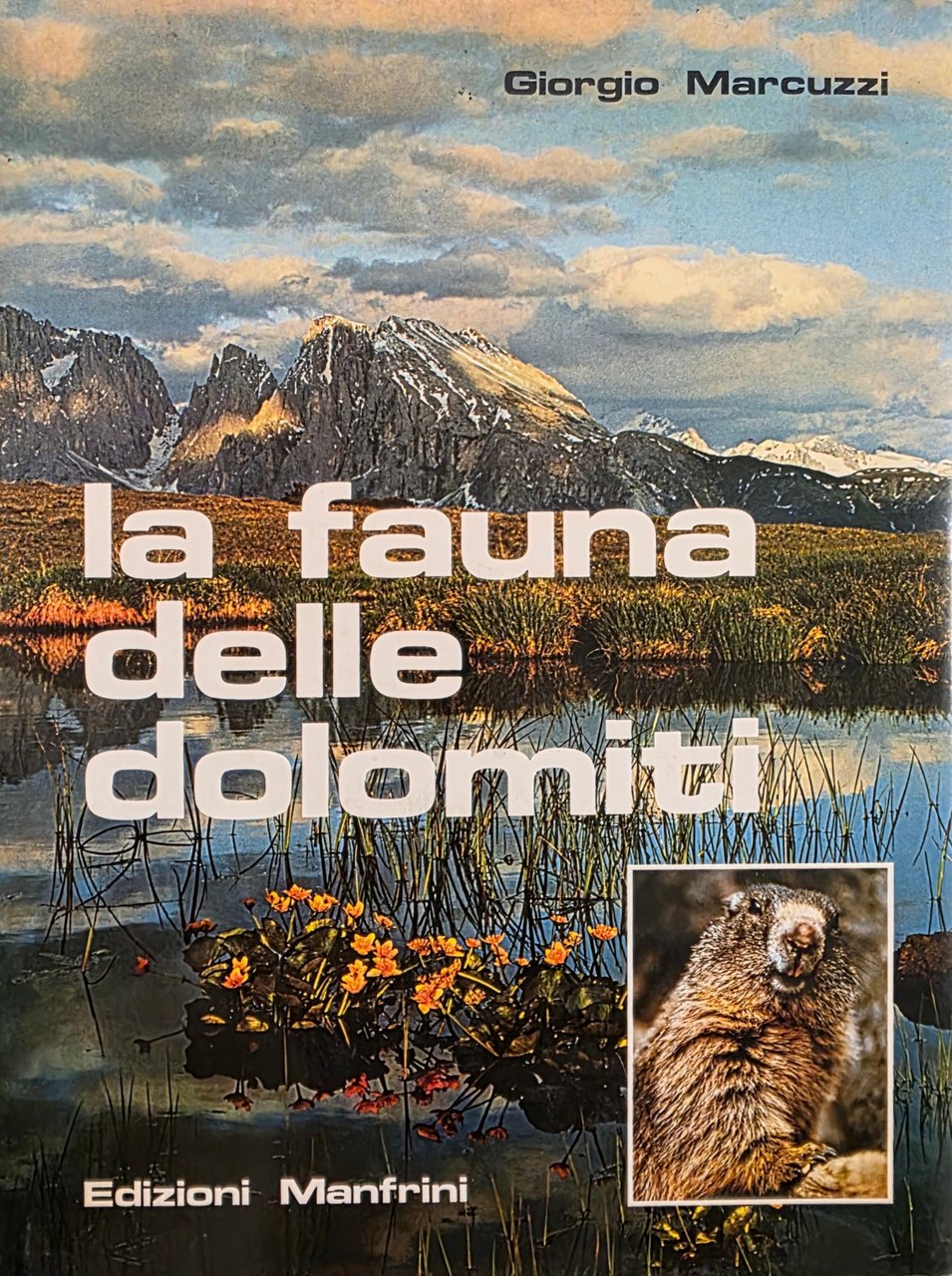 LA FAUNA DELLE DOLOMITI