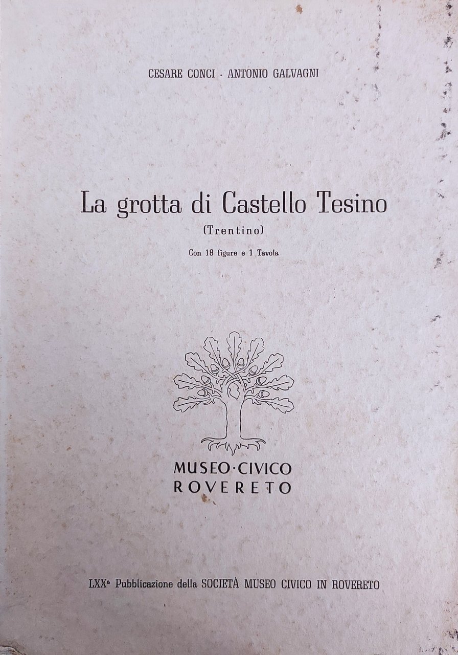 LA GROTTA DI CASTELLO TESINO (TRENTINO)