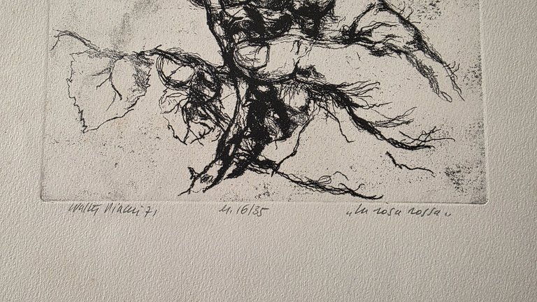 LA ROSA ROSSA | Immagine Gallery 2