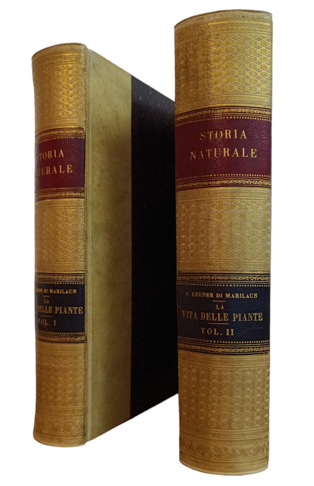 LA VITA DELLE PIANTE