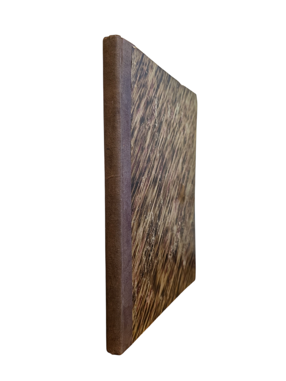 LA VITA E I COSTUMI DEGLI ANIMALI. GL'INSETTI