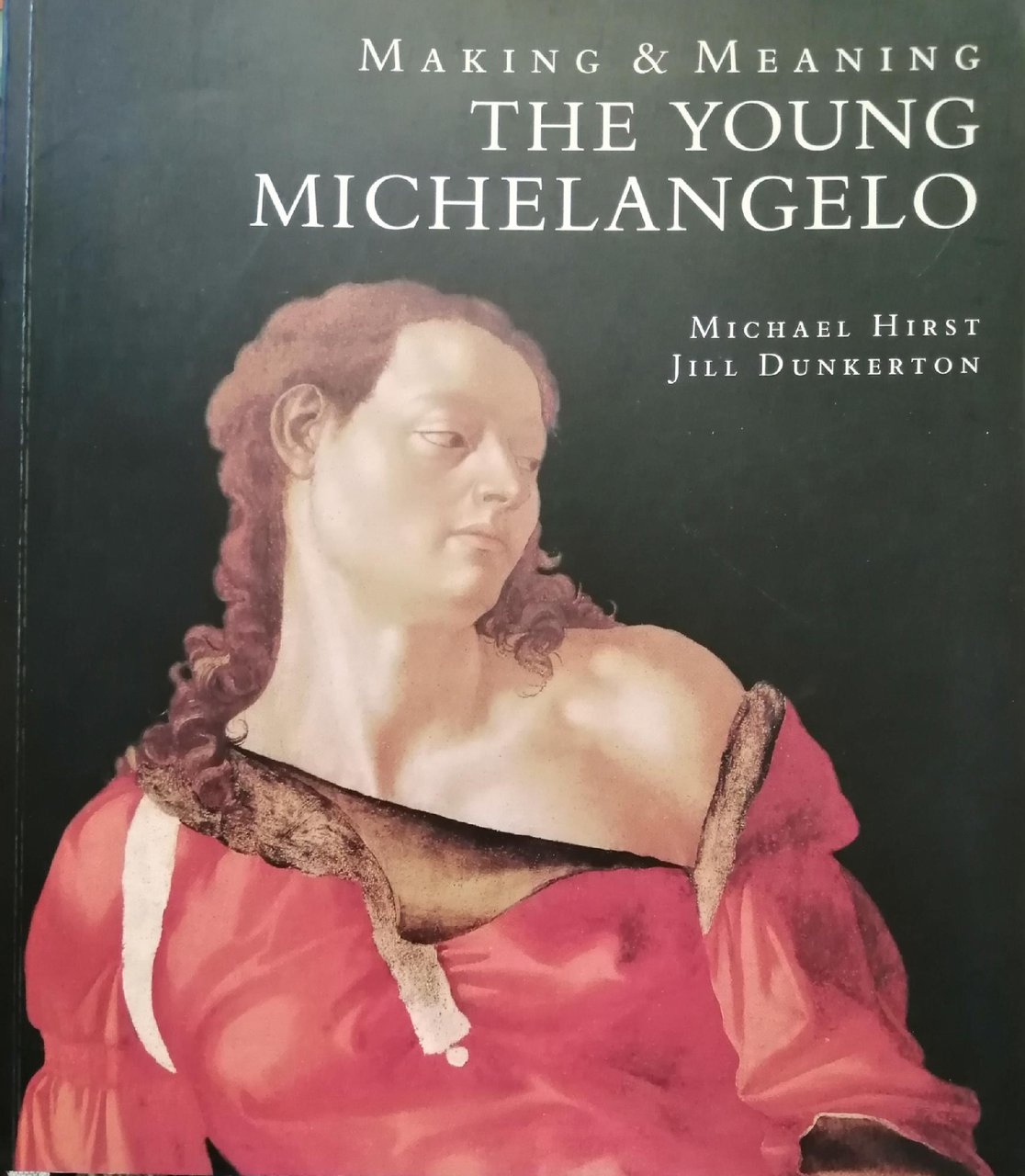 MAKING &amp; MEANING THE YOUNG MICHELANGELO