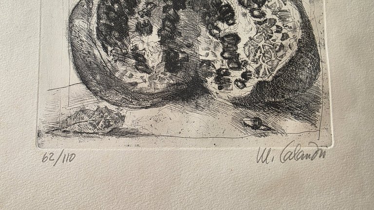 MELOGRANO | Immagine Gallery 2