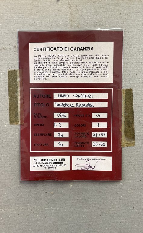 MERLETTAIA MURANELLA