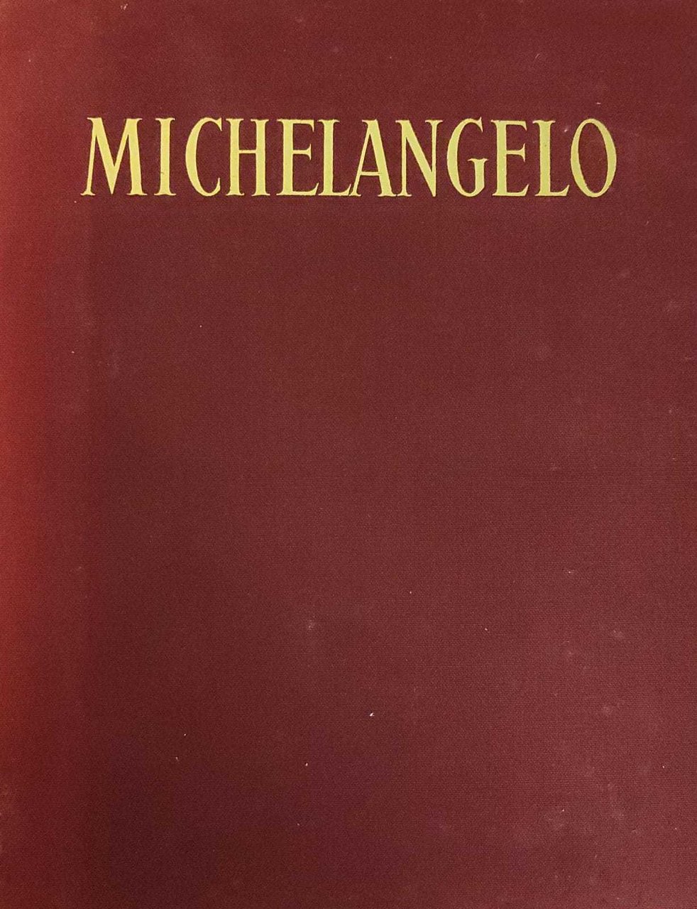 MICHELANGELO