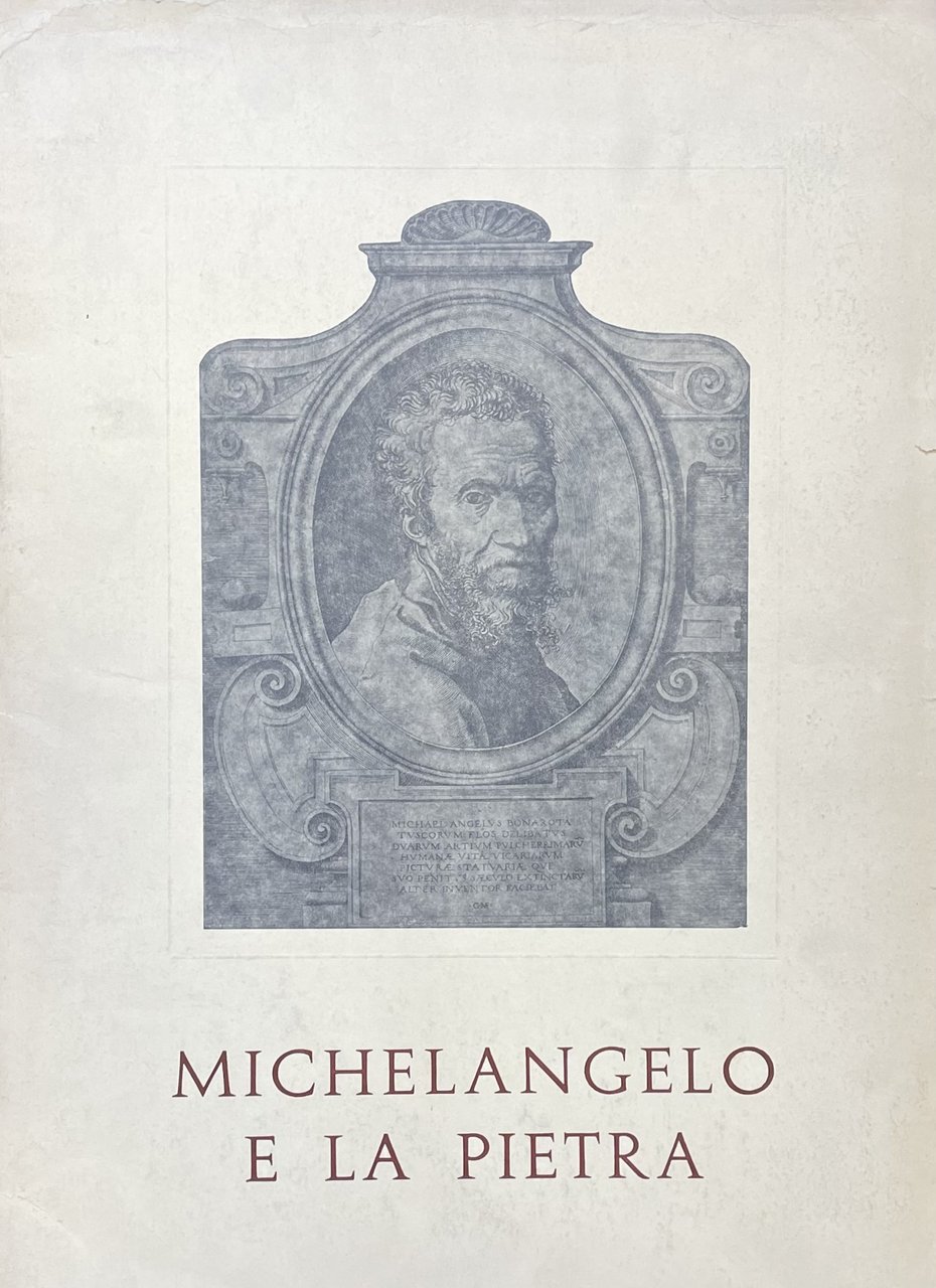 MICHELANGELO E LA PIETRA