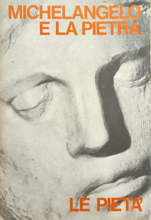 MICHELANGELO E LA PIETRA. LE PIETÀ